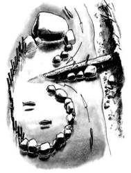 Рыбная ловля для выживания