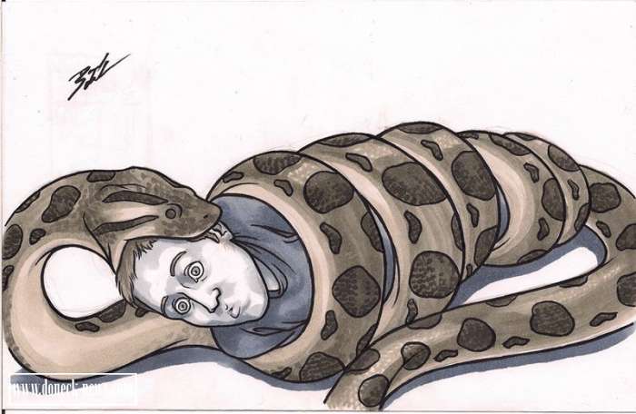 Как спастись при нападении смертельно опасных животных