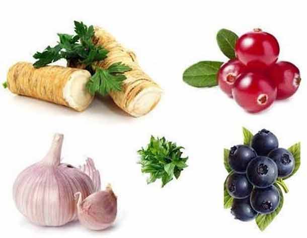 Пятерка лучших природных антибиотиков