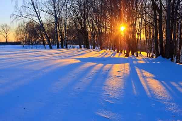22 февраля 2017 в народном календаре: День Панкратия