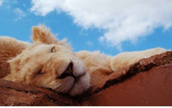 Как успокоить нервы за 60 секунд