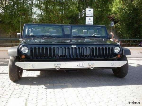 Сумасшедшие фотографии из Дубая (30 фото)