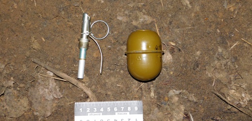 В Волновахе мужчина во время поиска грибов нашел гранату