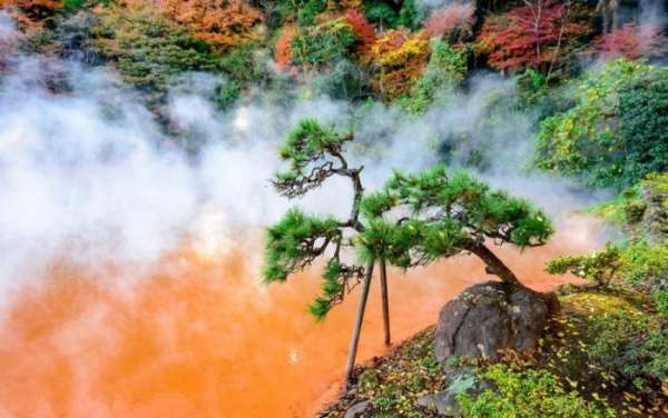 Удивительные места нашей планеты (13 фото)