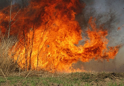 Пожар возле Верхнекальмиусской фильтровальной станции