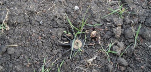 6 боеприпасов найдено в Макеевке за выходные