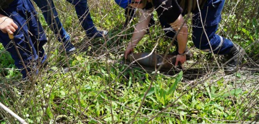 За сутки в Донецкой области спасатели обнаружили более 70 неразорвавшихся боеприпасов