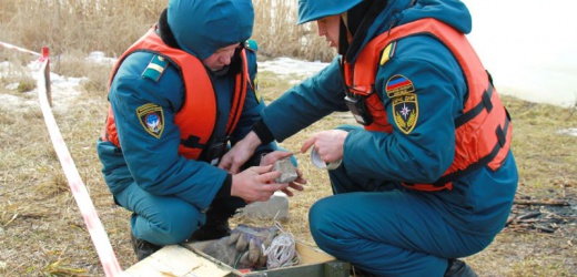 За сутки на территории ДНР обнаружено десять взрывоопасных предметов
