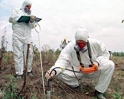 Горловке грозит серьезное химическое загрязнение из-за активных боев на северо-западе города - ОБСЕ