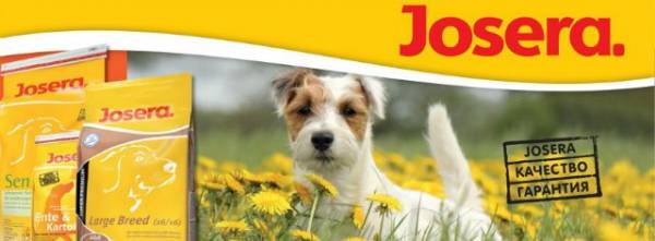 Мой заказ в интернет-магазине Мy-zoo.