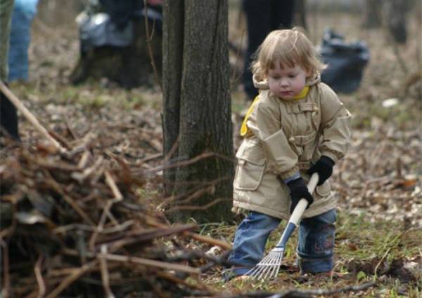 В Донецке запланирован двухмесячник по благоустройству