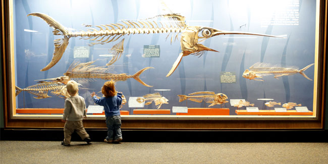 18 мая 2022 - Международный день музеев