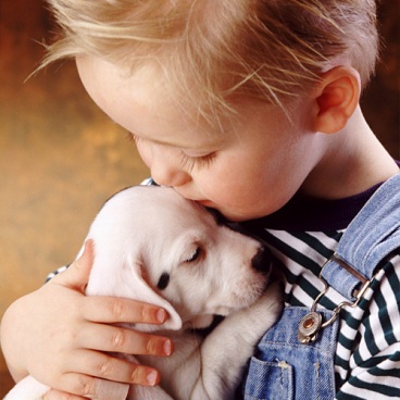 Особенности приобретения щенка как нового члена семьи.