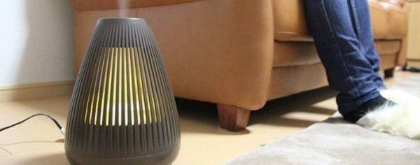 ТОП 3 советов: как выбрать увлажнитель для воздуха