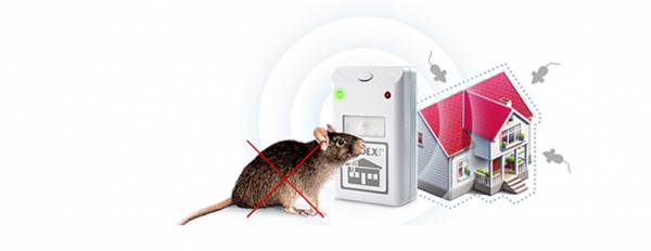 Выбор лучшего отпугивателя грызунов