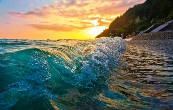 Шикарный отдых на черном море