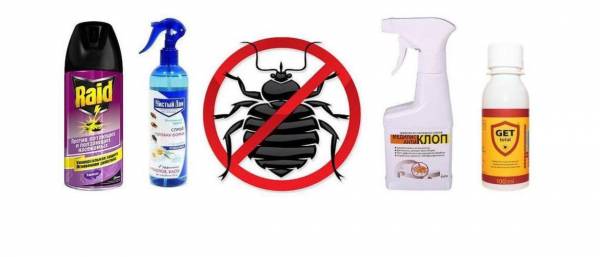 Выбираем эффективную защиту от клопов