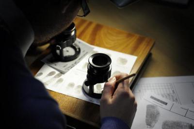 Судебно-экономическая деятельность