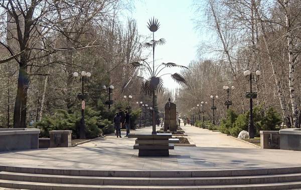 В Донецке высадили порядка 2000 роз