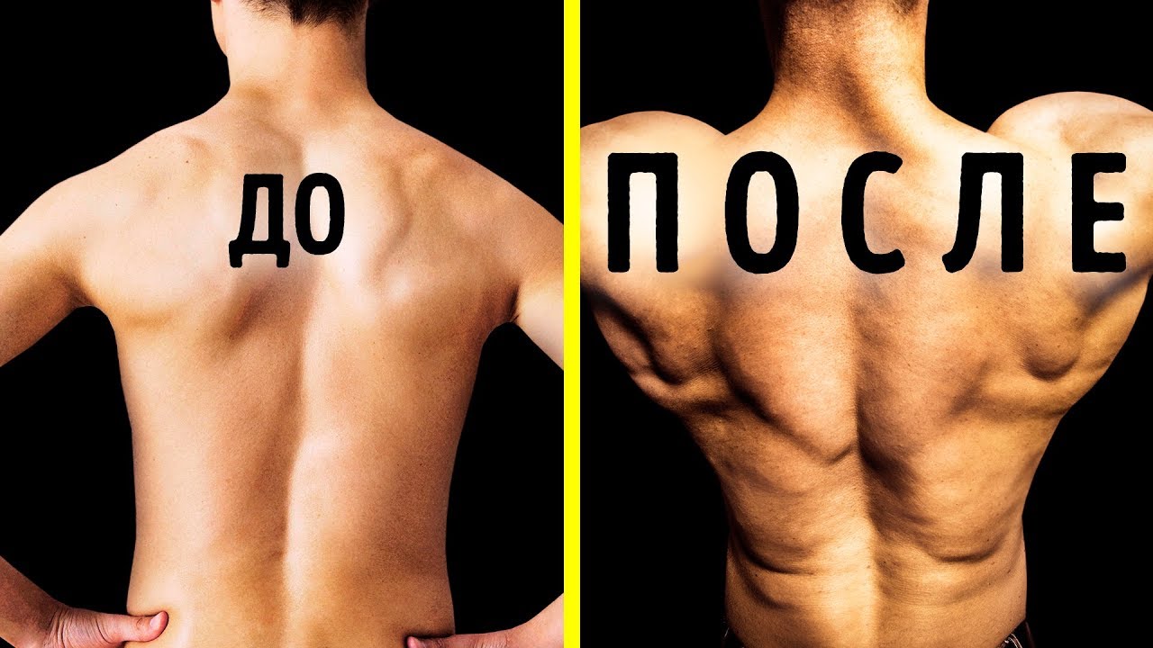 5 супер простых упражнений для широкой и сильной спины