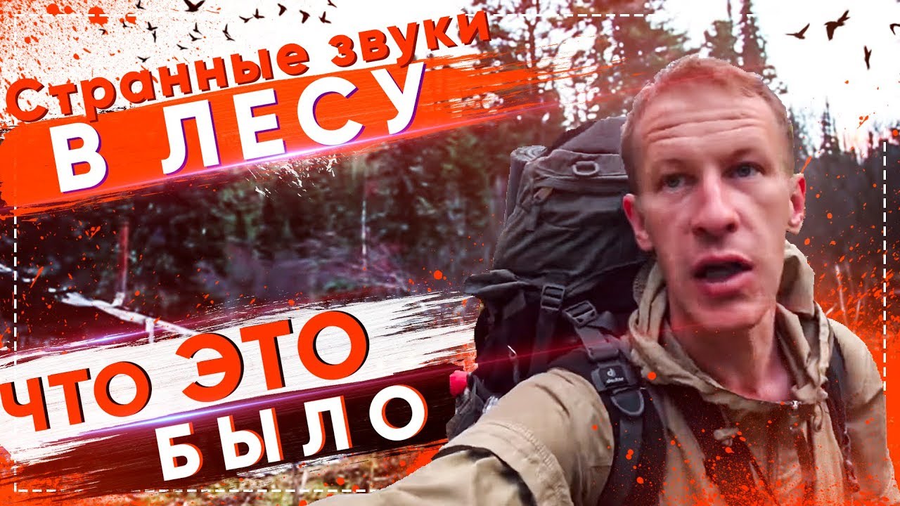 КОРОЧЕ ГОВОРЯ, В ОДИНОЧКУ ПО НОЧНОМУ ЛЕСУ