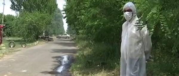 Африканская чума свиней: В Добропольском районе объявлен карантин