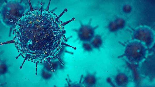 За сутки в ДНР выявлено 91 новый случай заболевания коронавирусом, 8 человек скончались