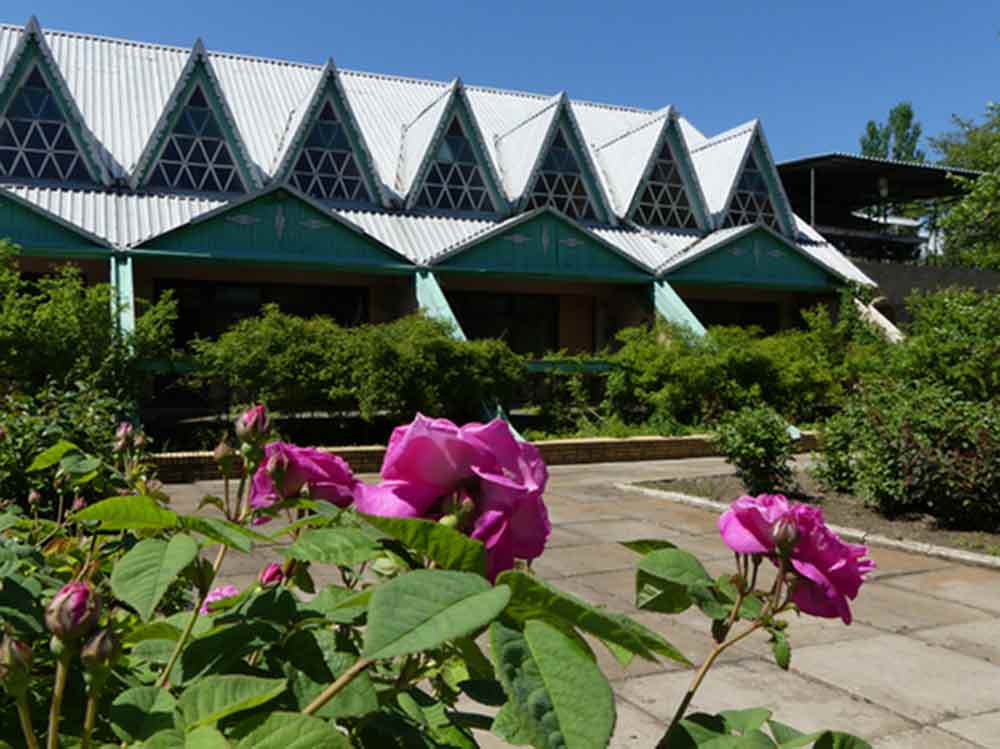 Пансионаты в Седово подготовлены для принятия шахтерских семей