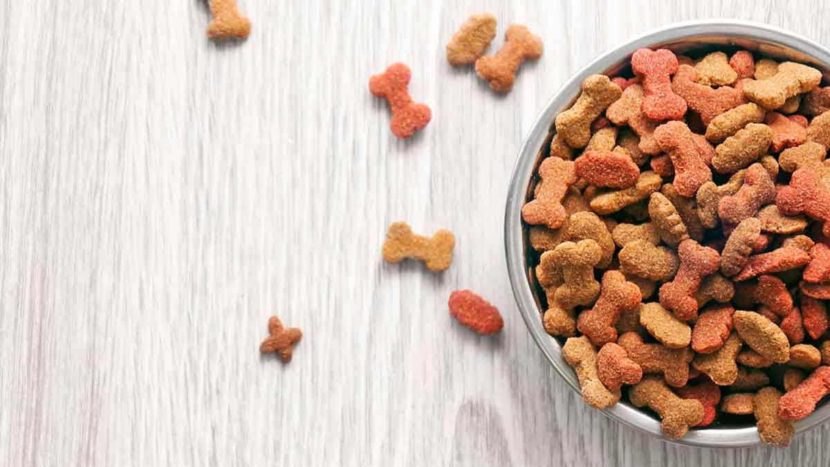 Каким образом подобрать сухой корм для питомца?