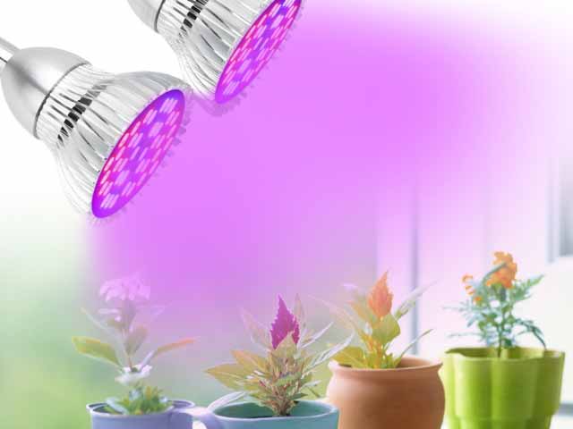 Светодиодные лампы для растений - как они работают?