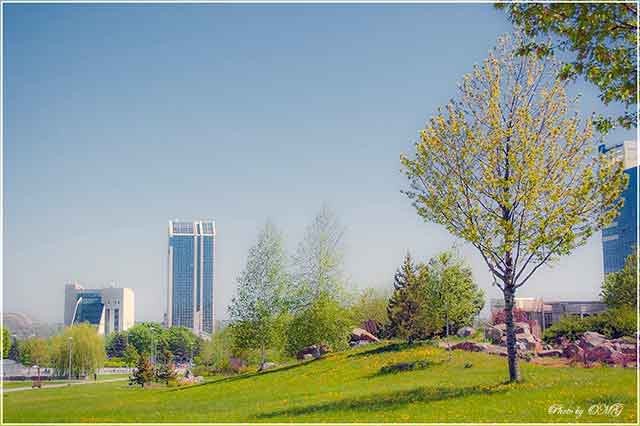 Хроника событий в Донецке за 9 марта 2024 года