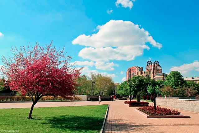 Хроника событий в Донецке за 7 марта 2024 года