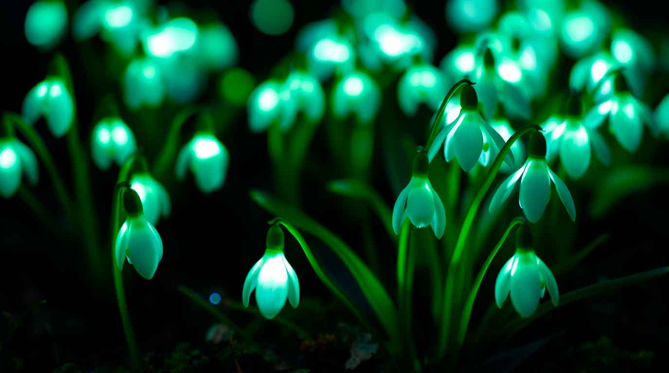 Праздник прихода весны: традиции, обряды и идеи для празднования